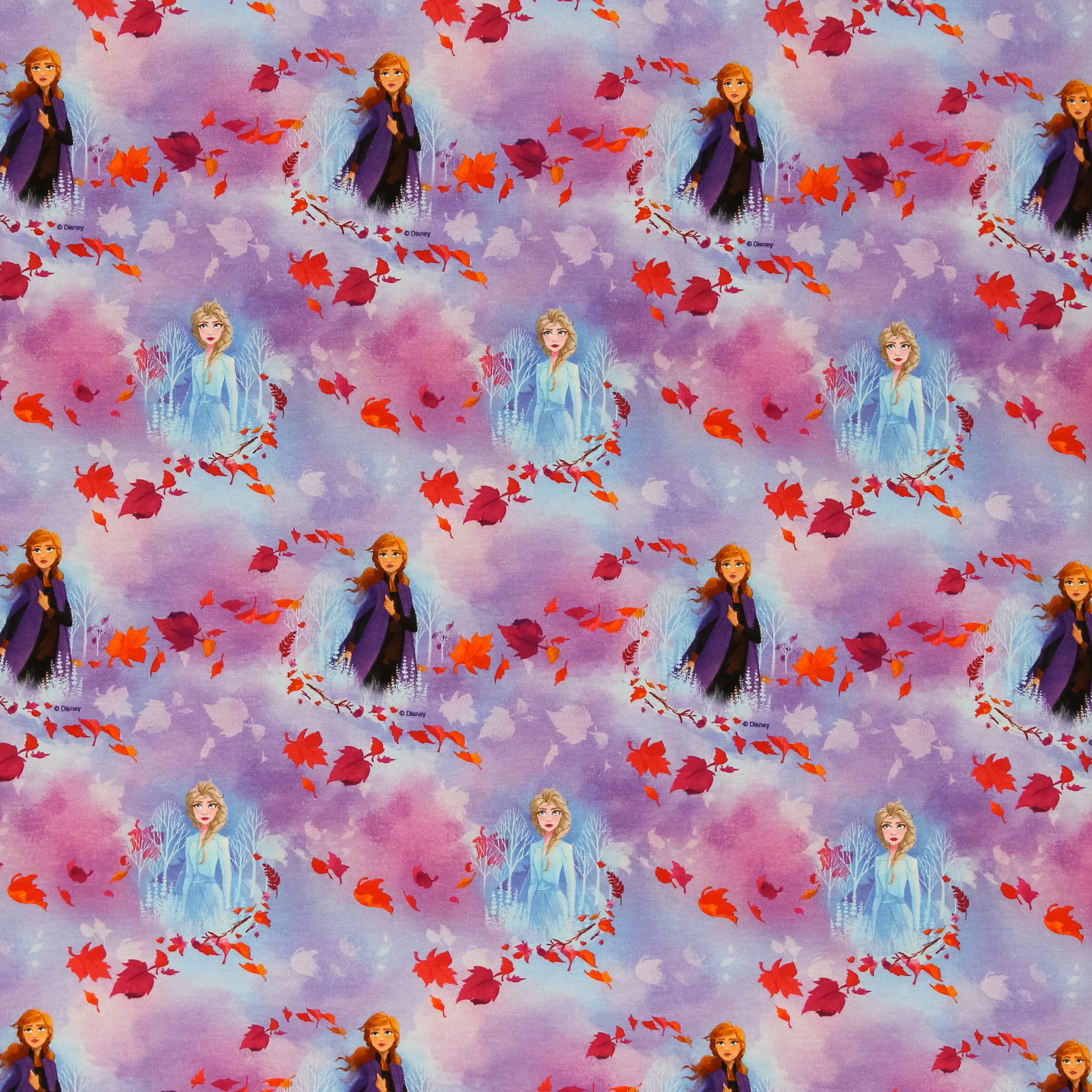 Tricot paars/roze Anna - Frozen   ©Disney
